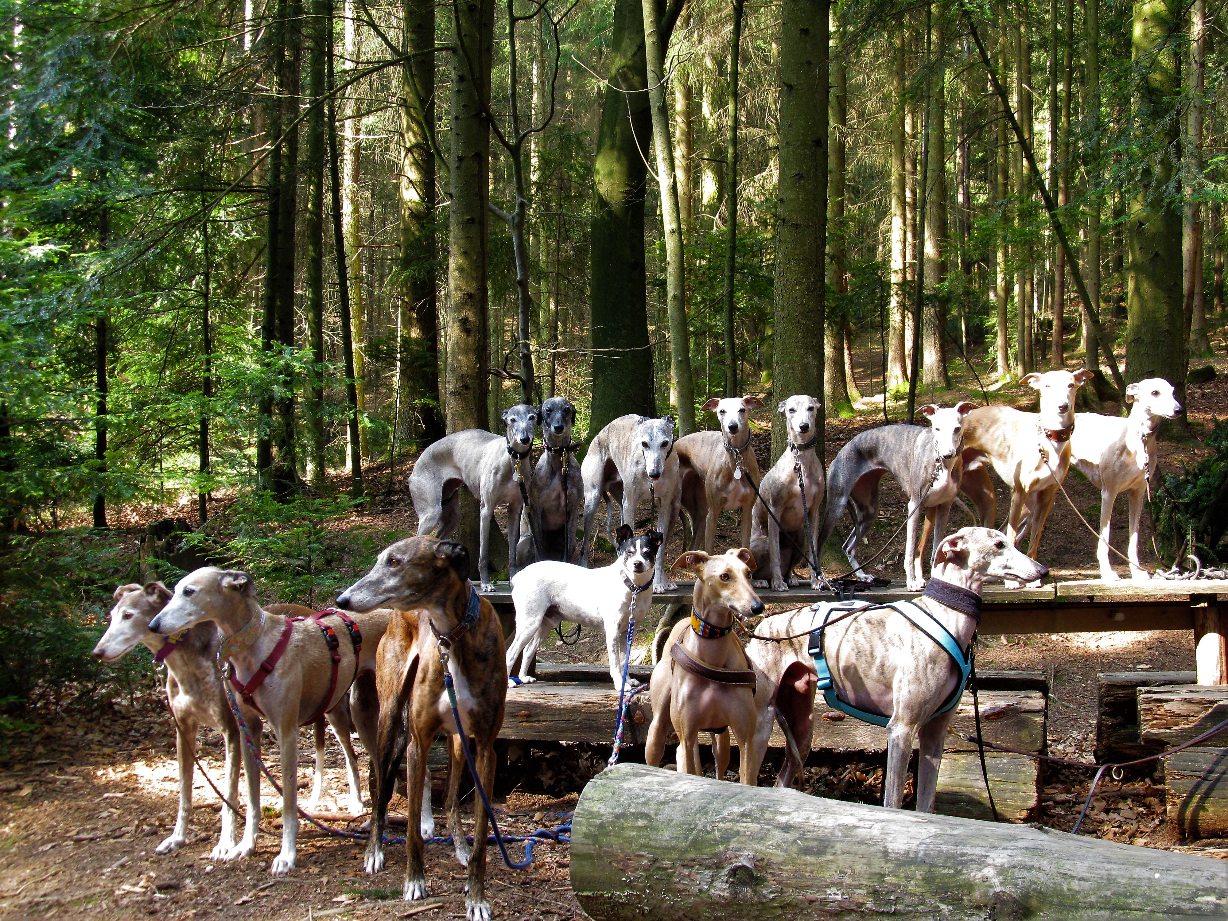 Die Sonntagsgassi Truppe unterwegs