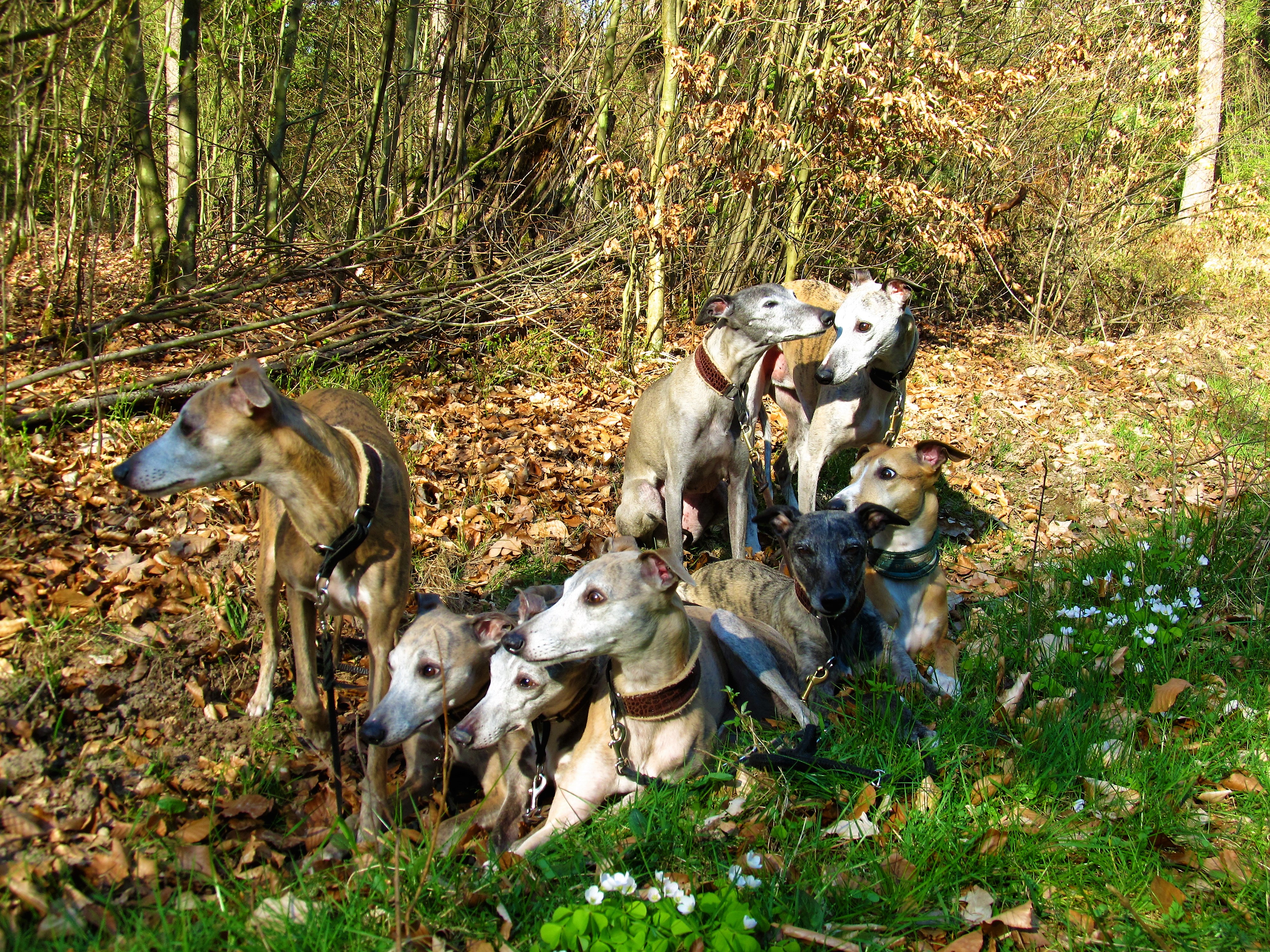 Im Frühling 2019