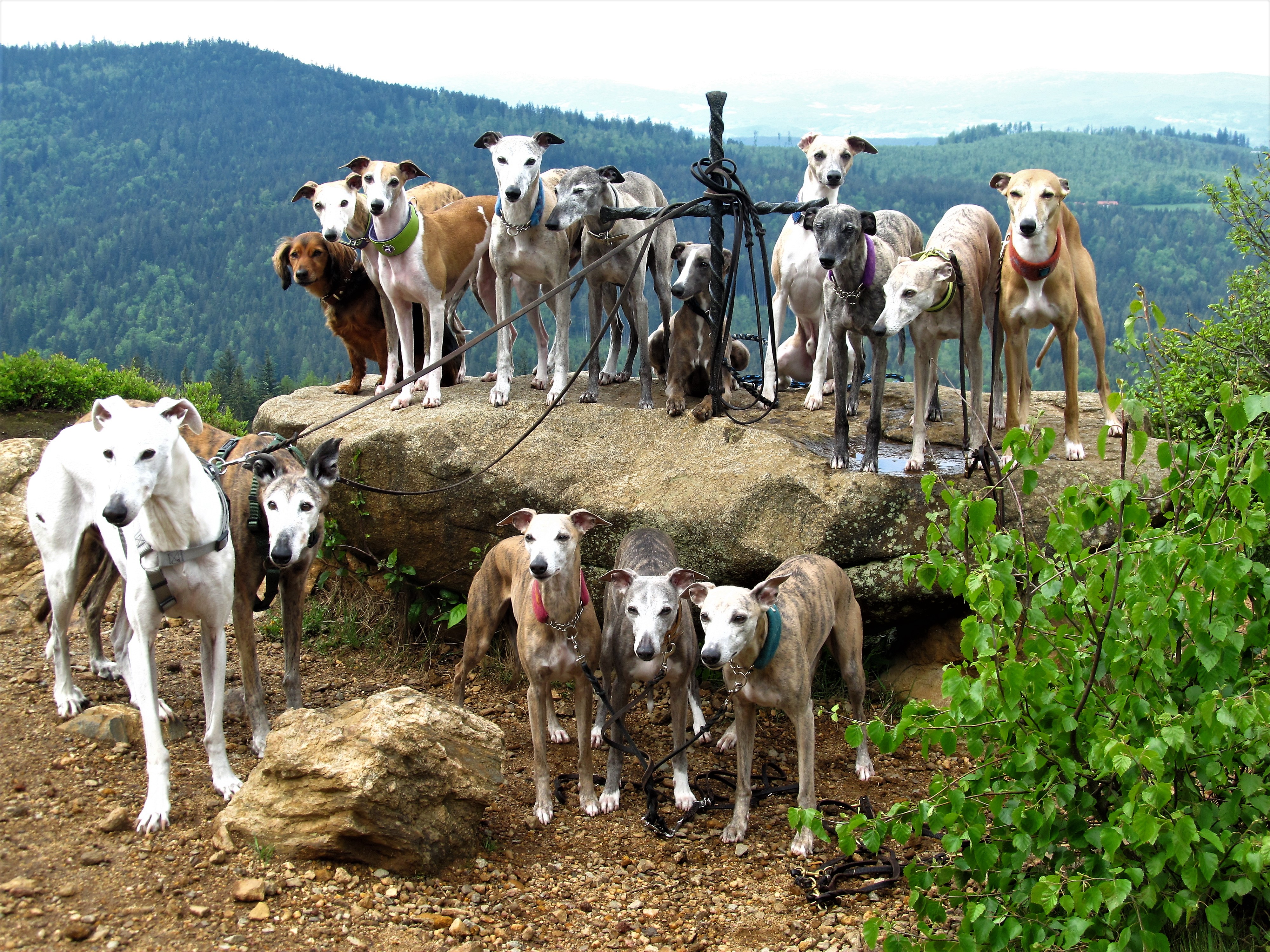 PD Epic Neo, PD Epic Murphy mit der Familie und Freunden auf dem Silberberg in Bodenmais