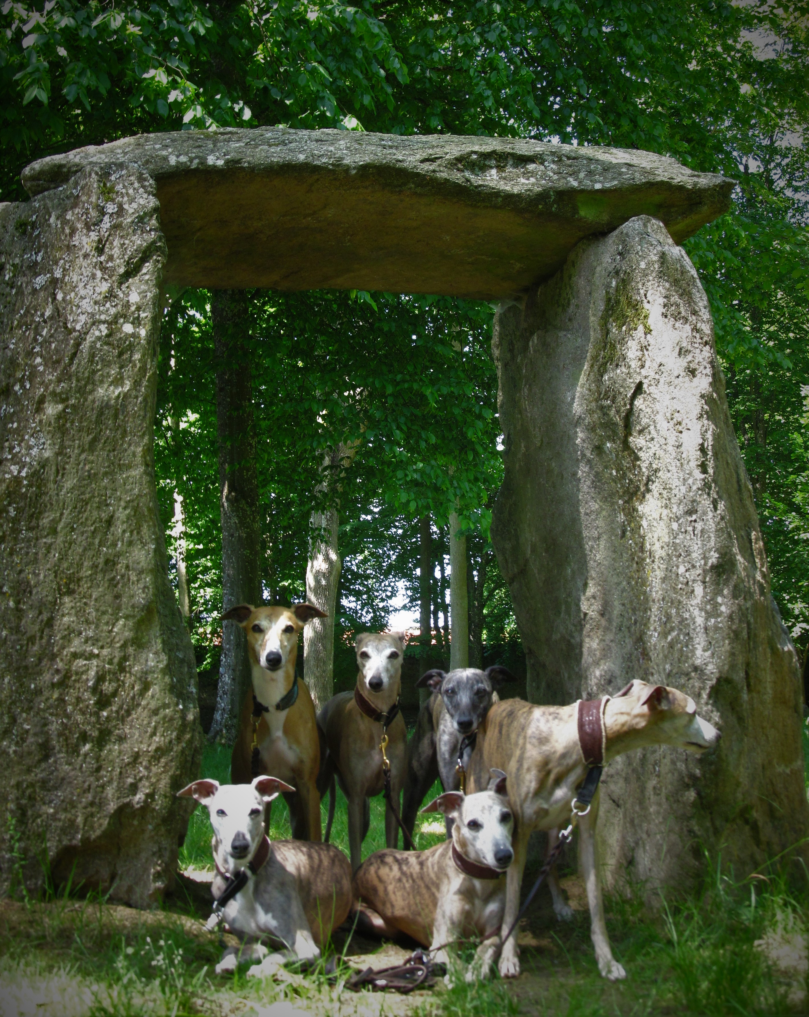 Auf dem Kraftweg Stamsried