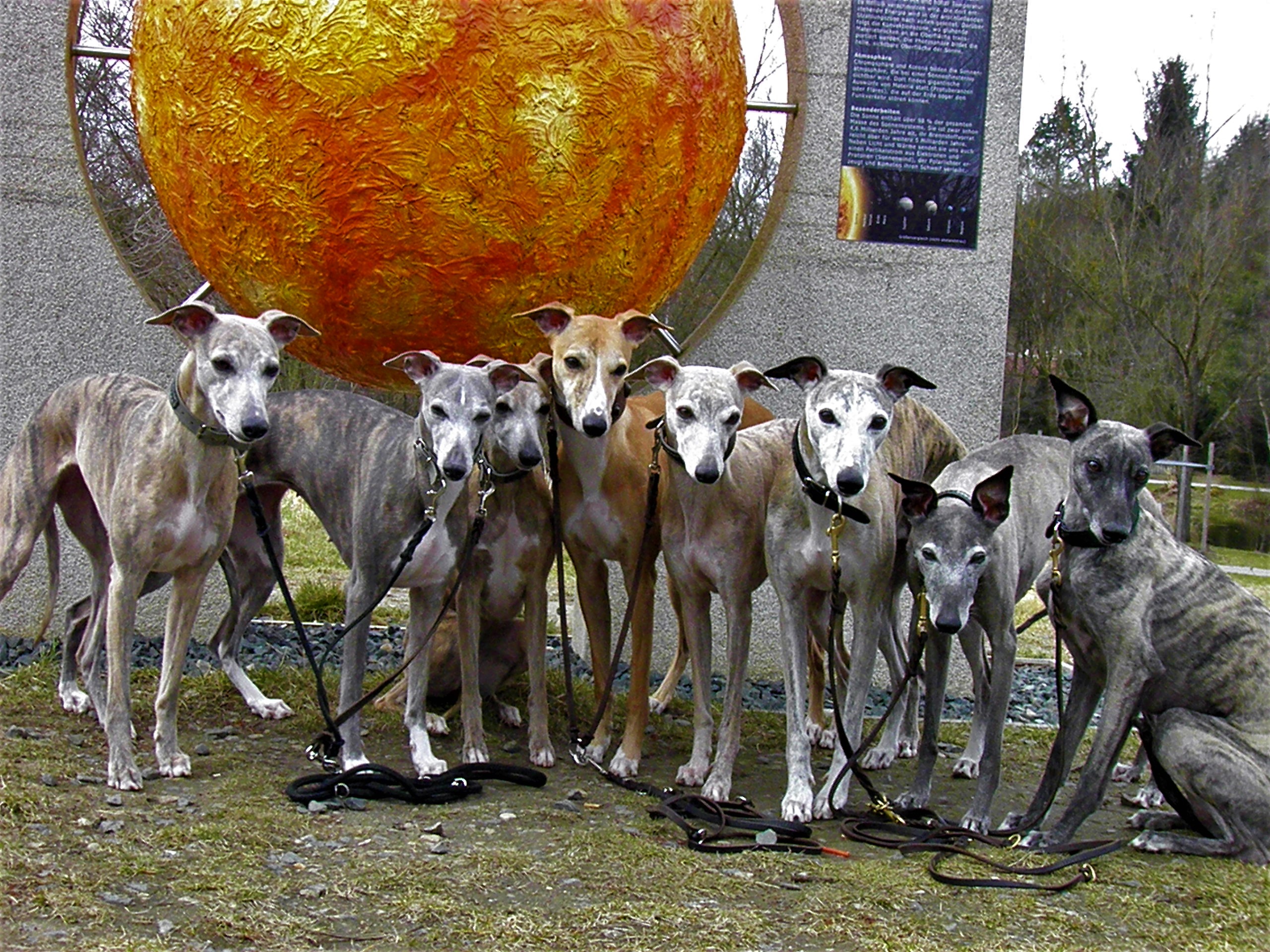 Im Kurpark Bad Kötzting